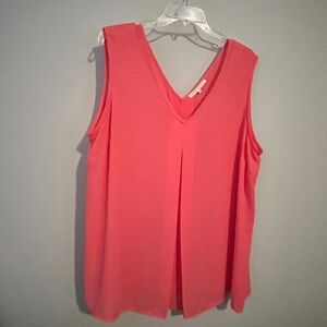 Violet and Claire Sheer Top 2X